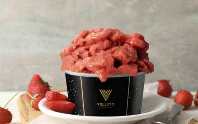 6 Fakta Tentang Sorbet yang Kamu Belum Tahu dan WAJIB UNTUK TAHU